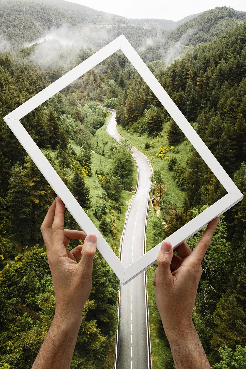 IT-roadmapping (1) https://fidelityit.com/wp-content/uploads/2023/12/IT-roadmapping-1.webp